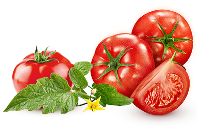 杨守荣麻辣烫 新鲜食材